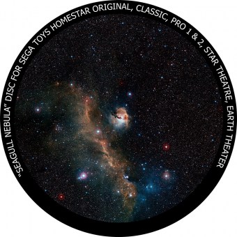 Seagull Nebula eso1237c